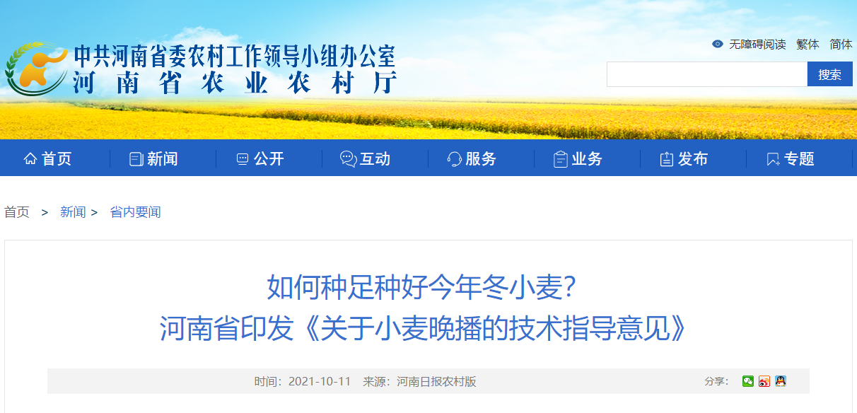 如何種足種好今年冬小麥？ 河南省印發(fā)《關(guān)于小麥晚播的技術(shù)指導(dǎo)意見》