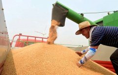 關系14億人的飯碗，定了這些大事！