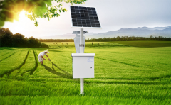 應(yīng)用害蟲性誘智能監(jiān)測系統(tǒng)進行害蟲遠程監(jiān)測