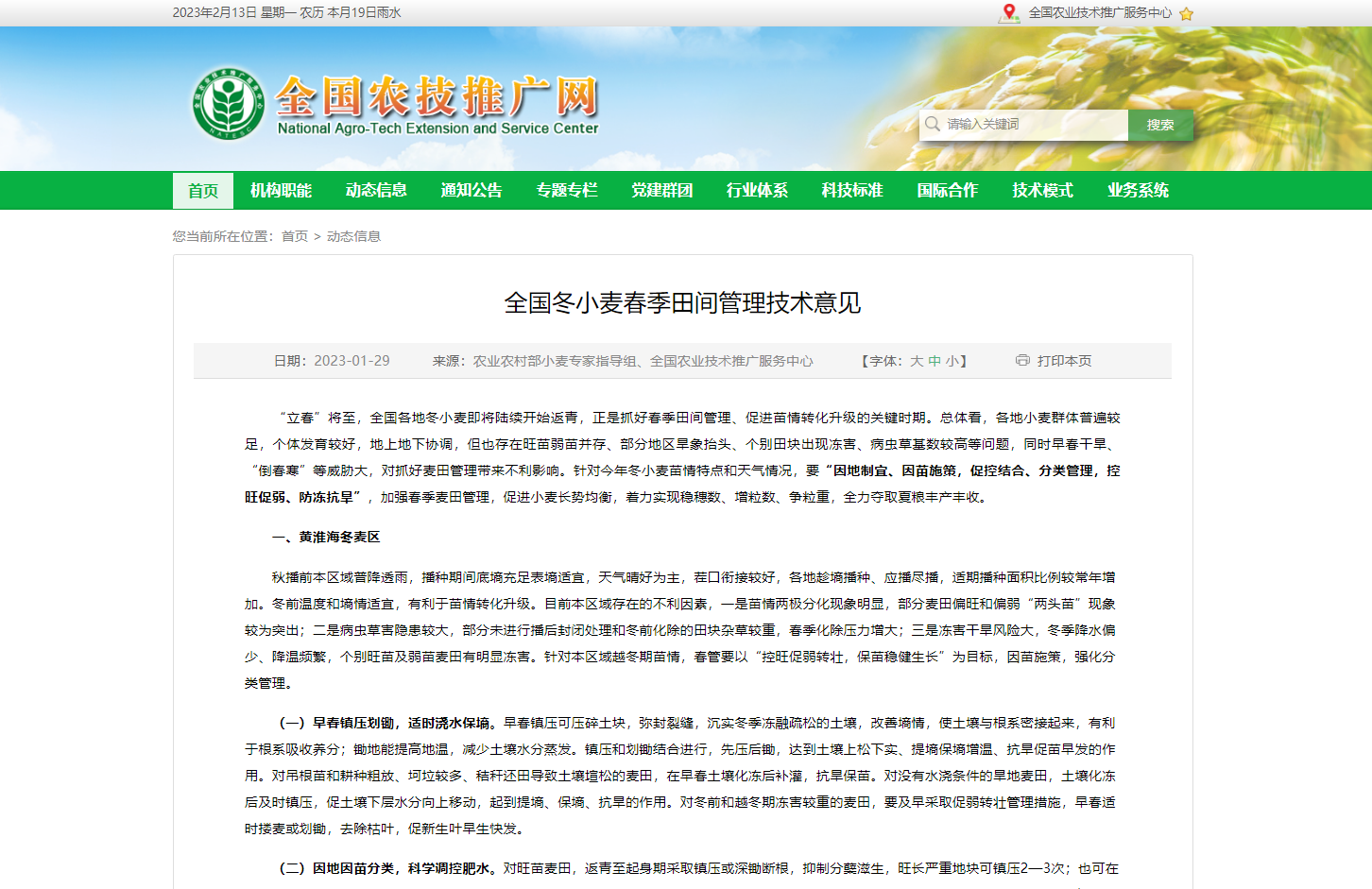 全國冬小麥春季田間管理技術(shù)意見