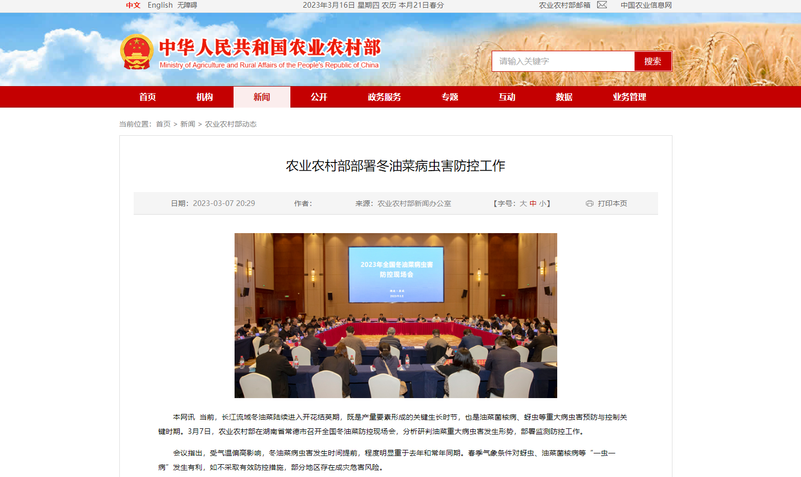 農(nóng)業(yè)農(nóng)村部部署冬油菜病蟲害防控工作