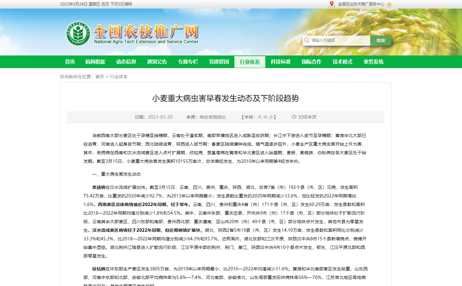 小麥重大病蟲害早春發(fā)生動(dòng)態(tài)及下階段趨勢(shì)