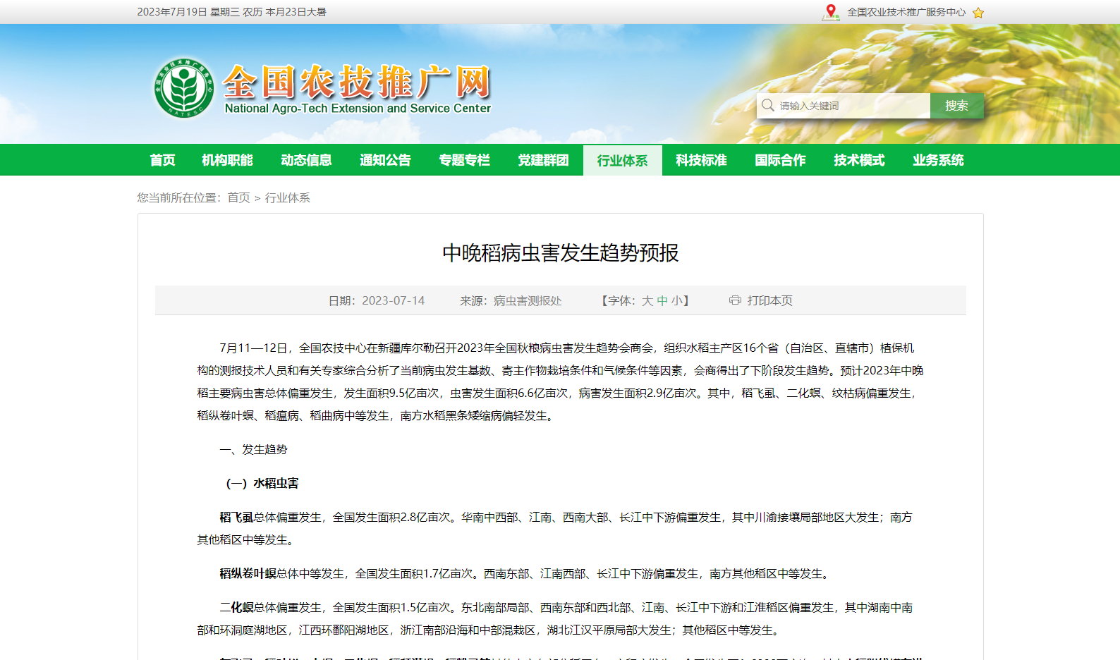 中晚稻病蟲害發(fā)生趨勢預(yù)報(bào)