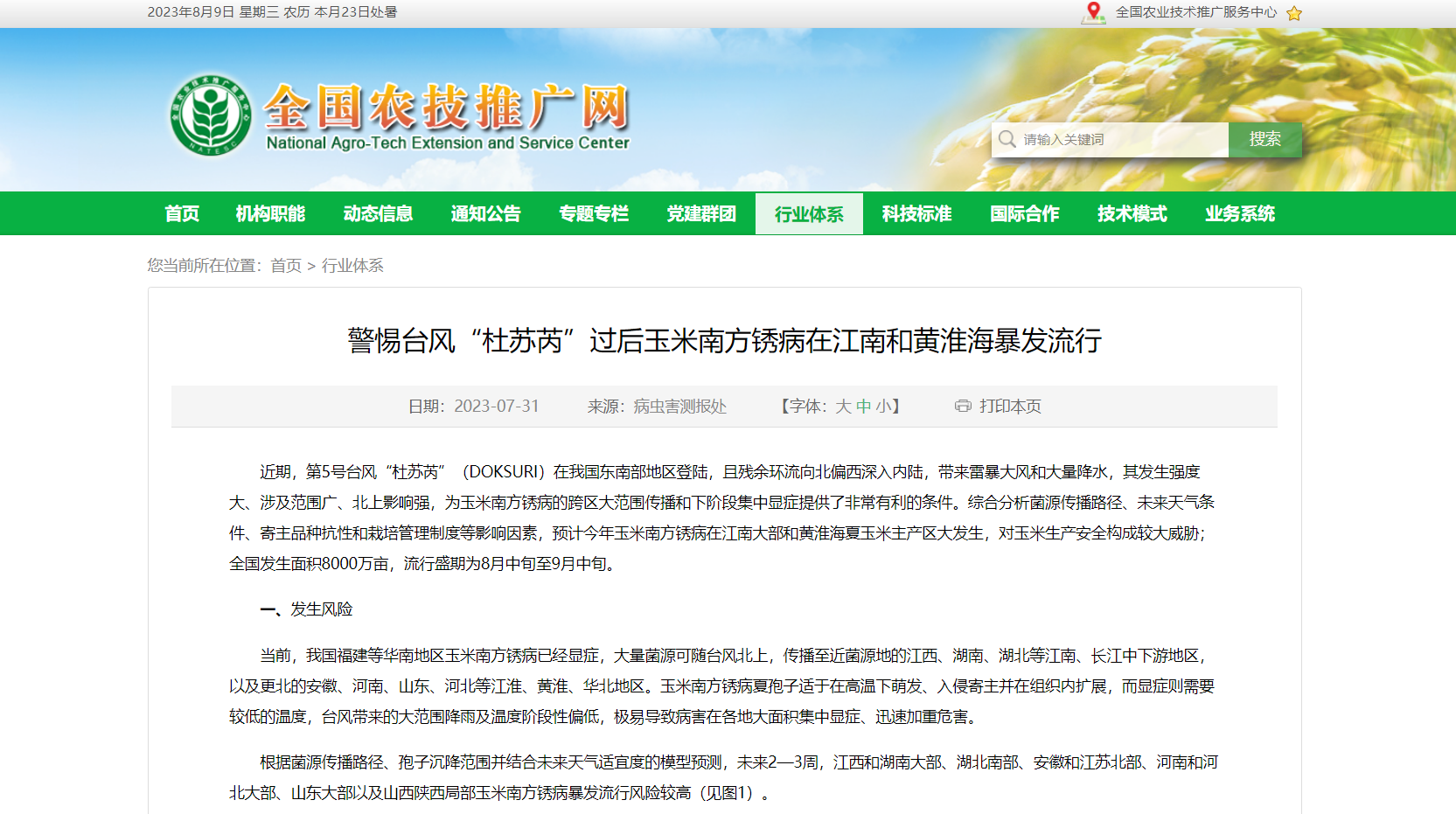 警惕臺風(fēng)“杜蘇芮”過后玉米南方銹病在江南和黃淮海暴發(fā)流行